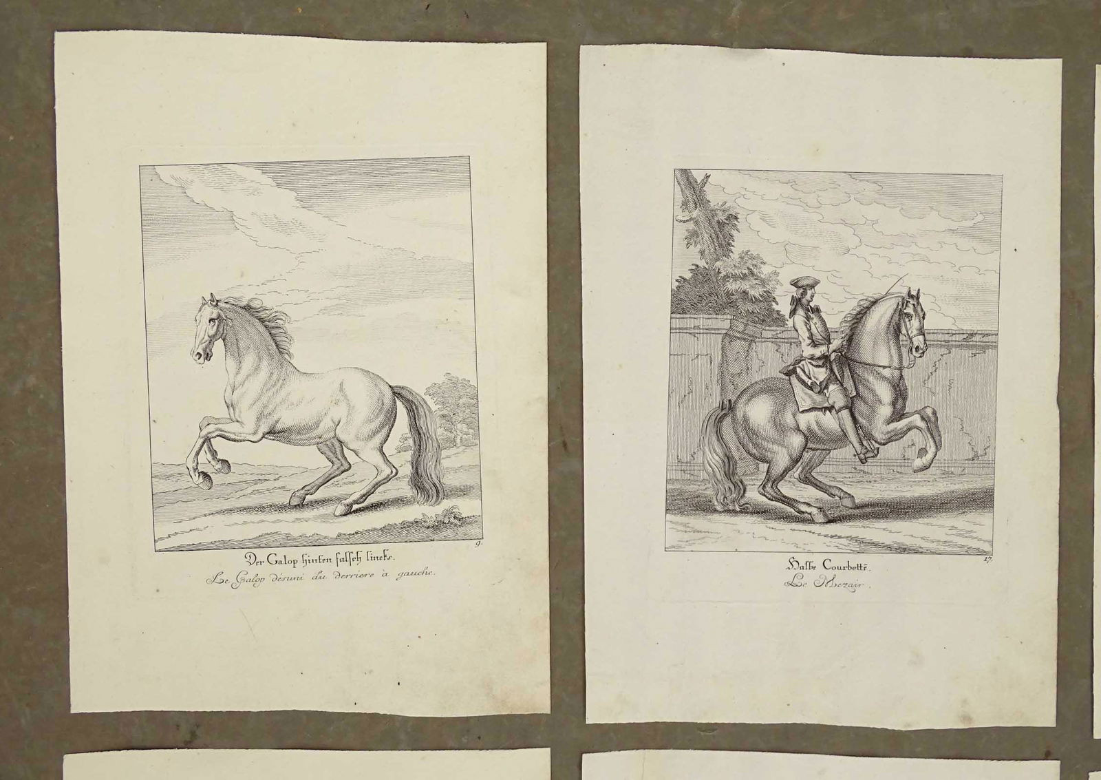 Horse Dressage Antique Prints (8) (1 of 4)