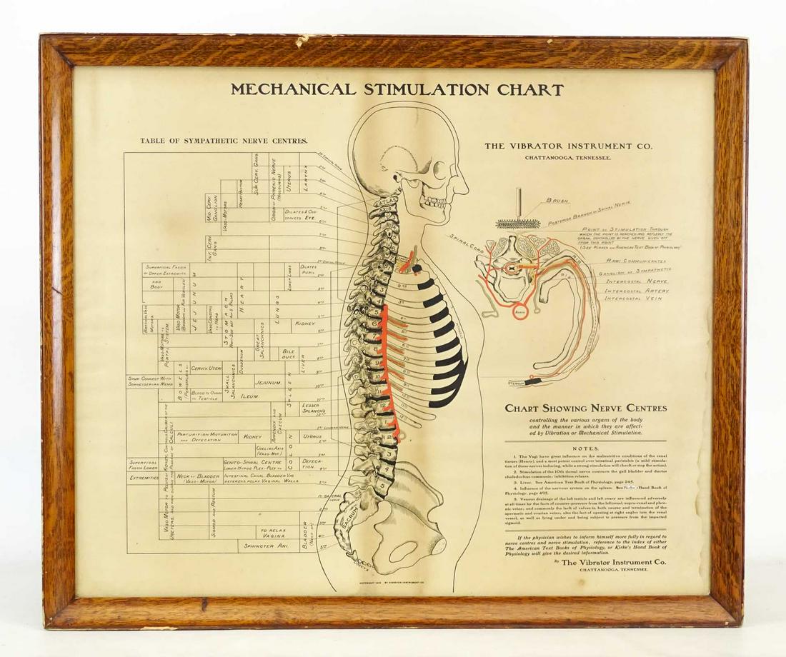 Vintage Mechanical Stimulation Chart (1 of 5)