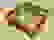 item-90278708=3