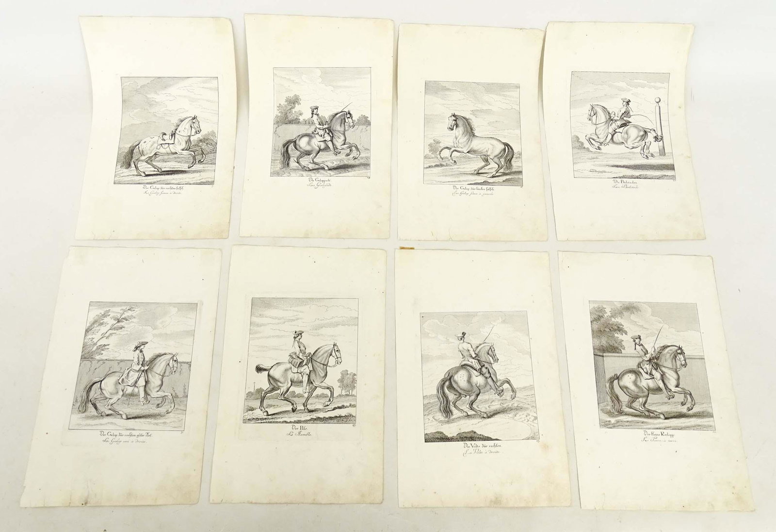 Horse Dressage Antique Prints (8) (1 of 9)