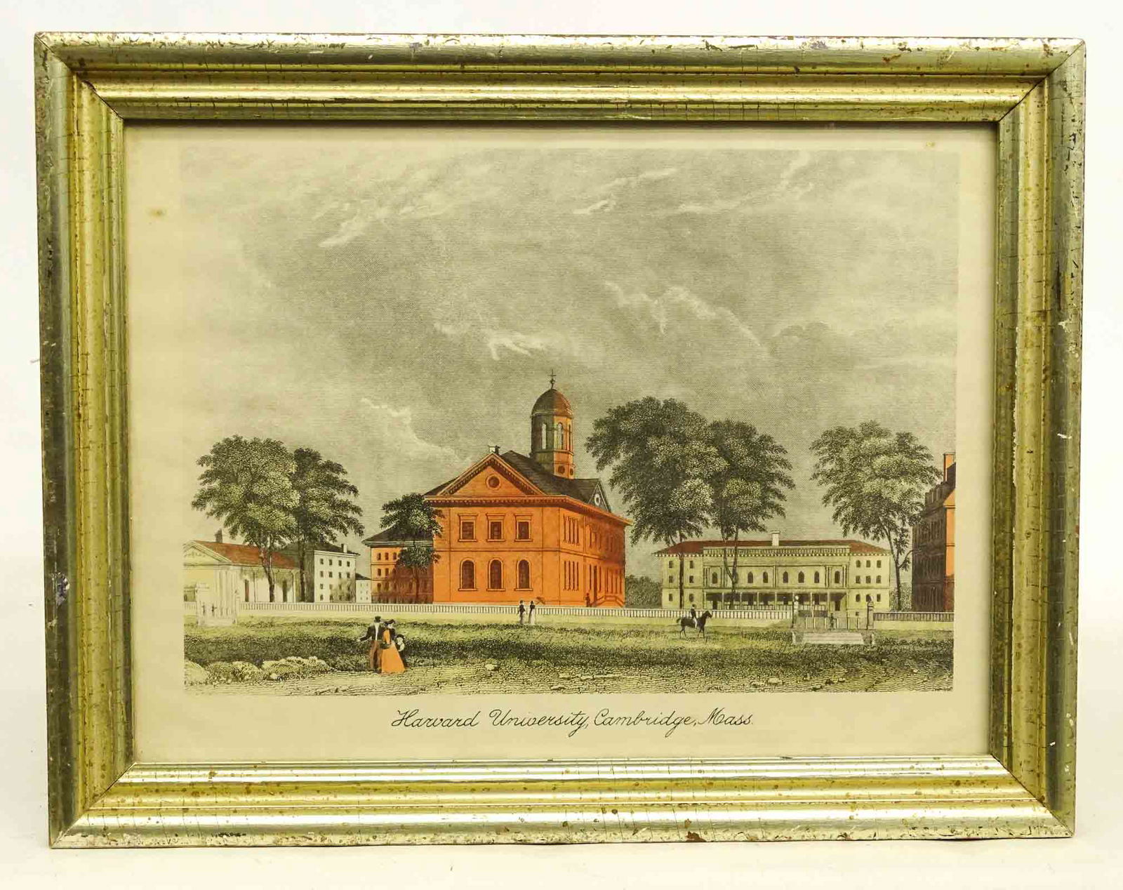 Print "Harvard University Cambridge Mass." (1 of 5)