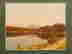item-91772534=5