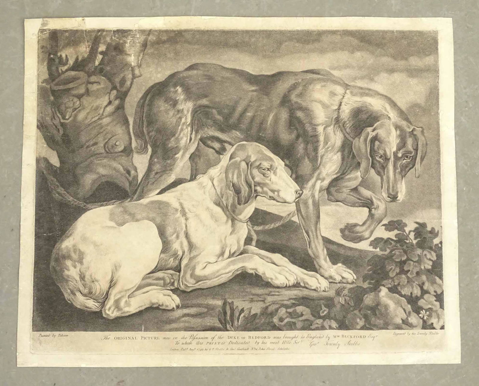 Dogs Old Master Antique Print (1 of 2)