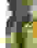 item-91772928=4