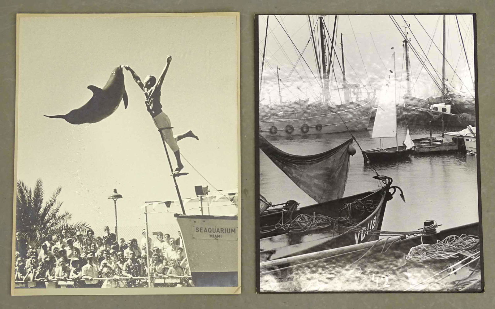 Vintage Photographs Dolphin and Boats (2) (1 of 6)