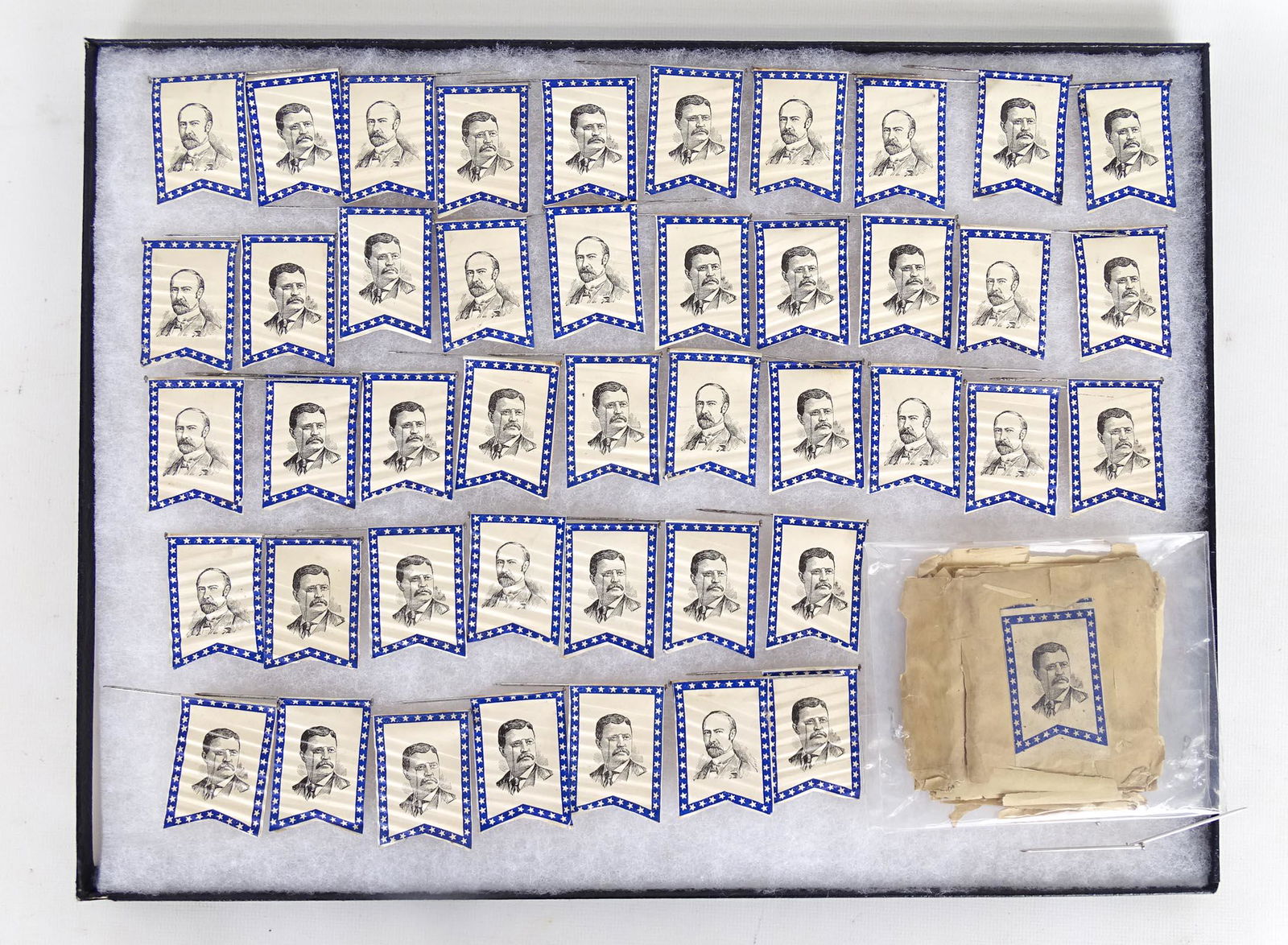 Teddy Roosevelt Lot (1 of 4)