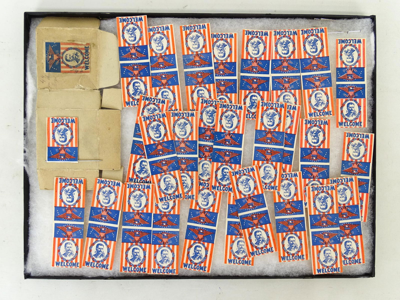 Teddy Roosevelt Lot (1 of 2)