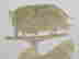 item-94263264=2