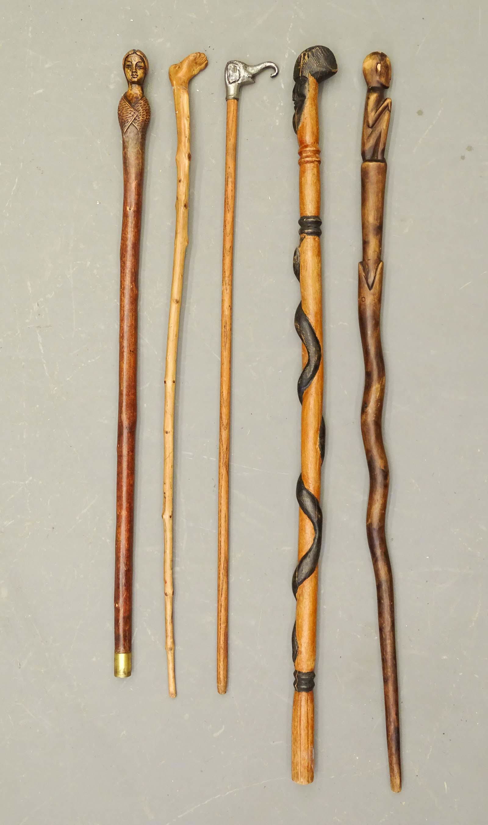 Walking Sticks (1 of 8)