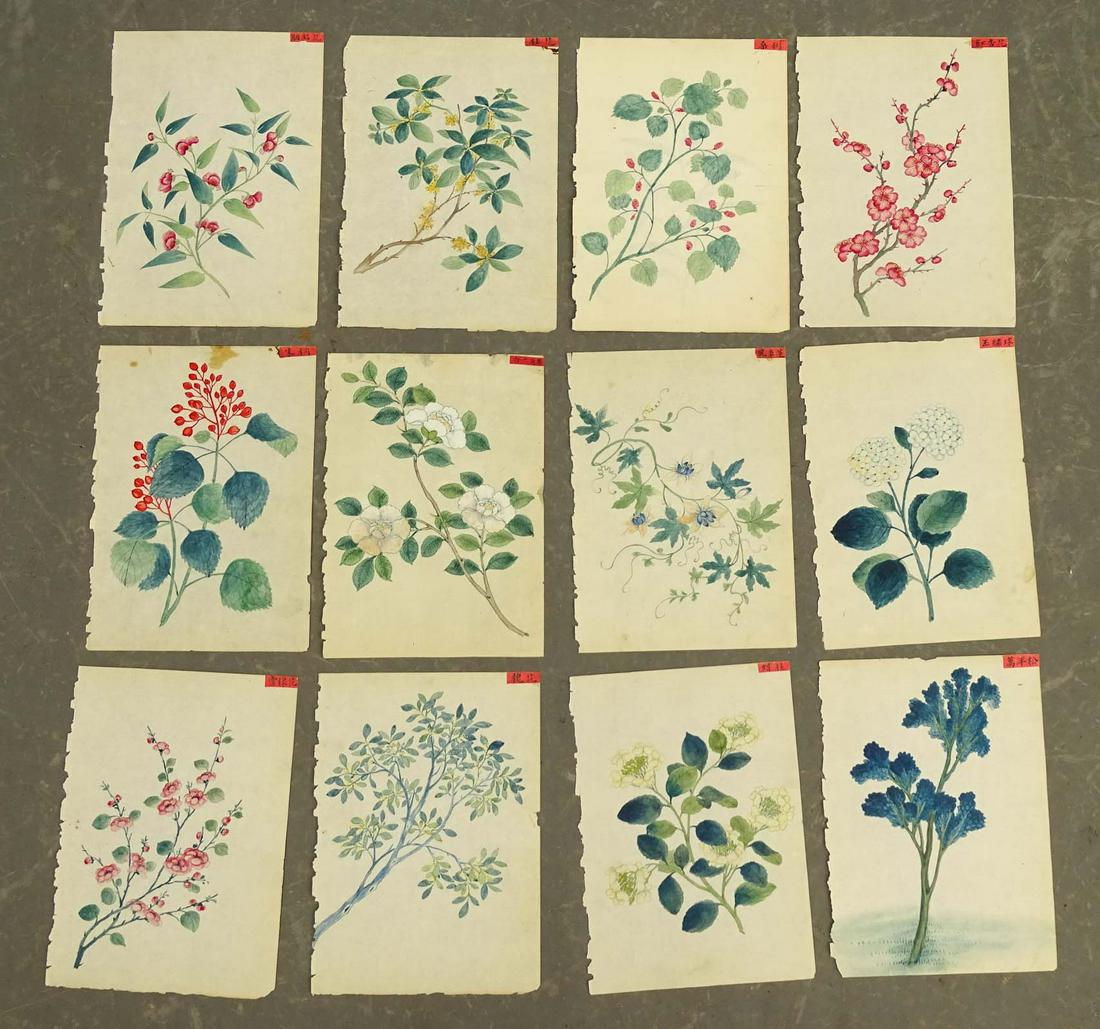 Chinese Botanical Antique Watercolors (13) (1 of 7)