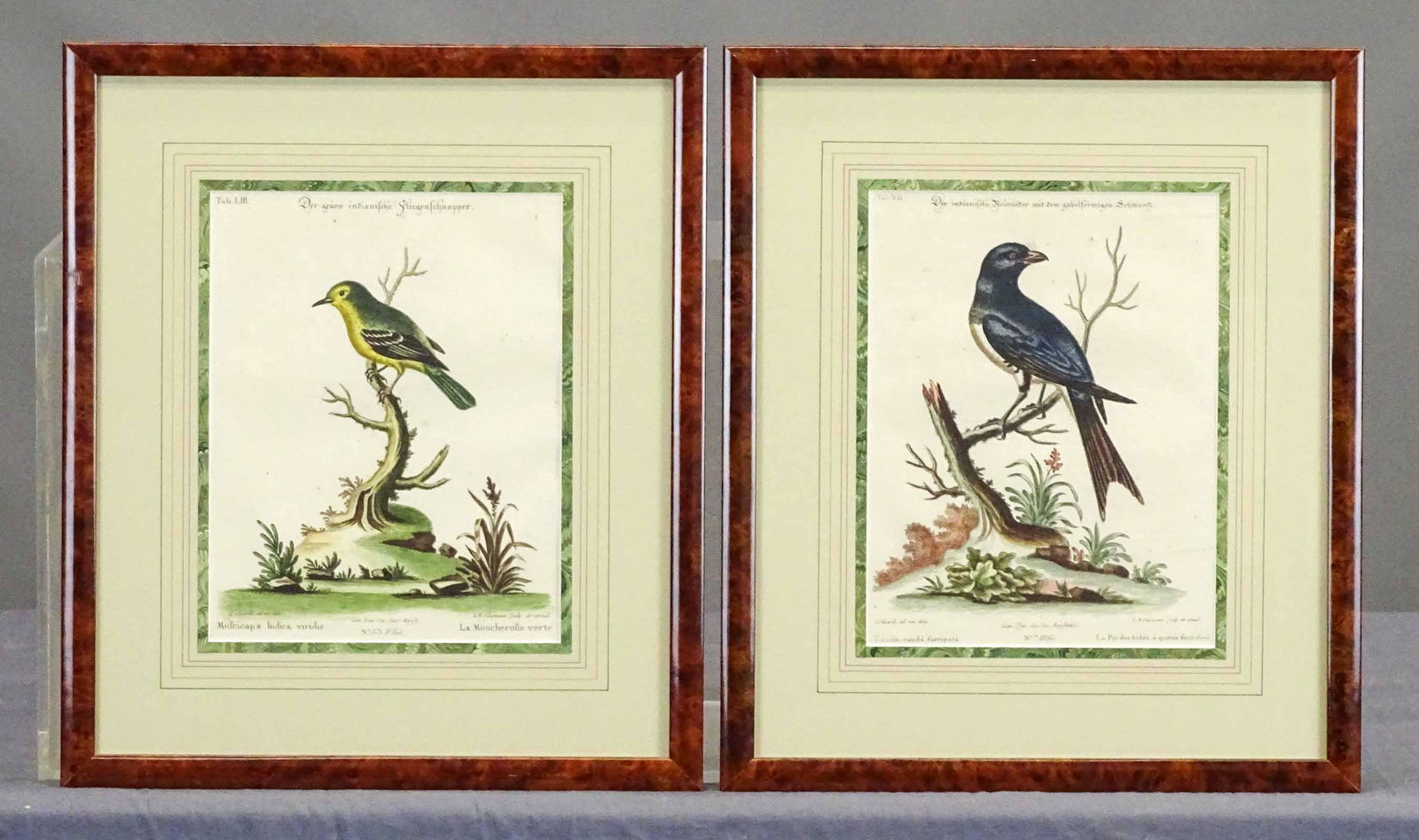 Pair of Antique Bird Prints (1 of 6)