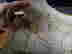 item-97182327=9