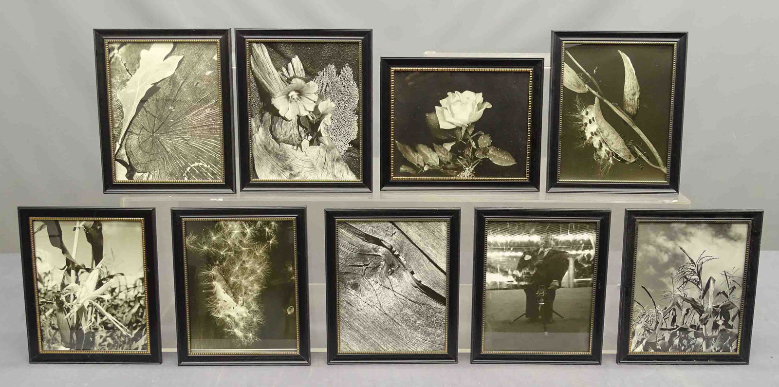 Al Macy Photographs (1 of 6)