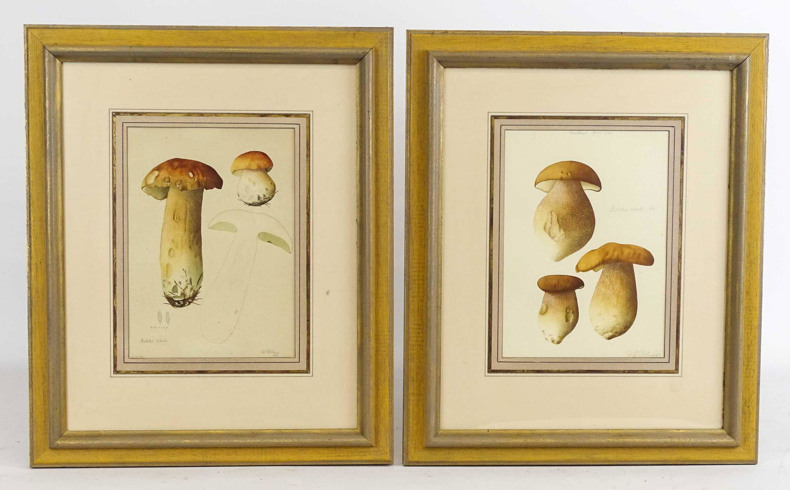 Pair Mushroom Prints (1 of 10)