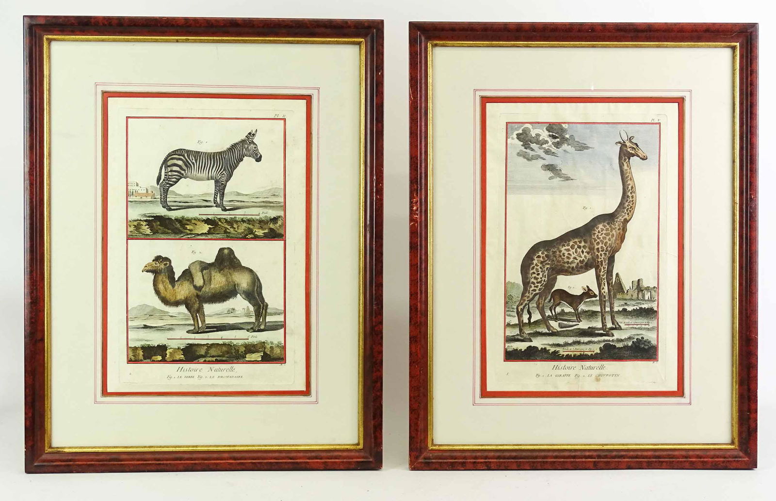 Two 19th c. French Animal Prints (1 of 6)