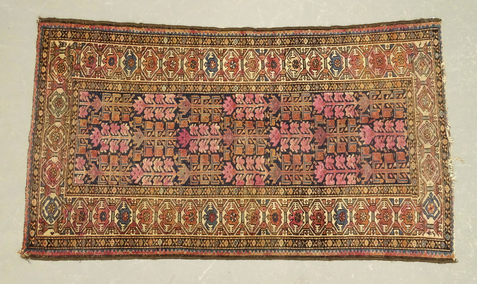 Oriental Rug (1 of 2)