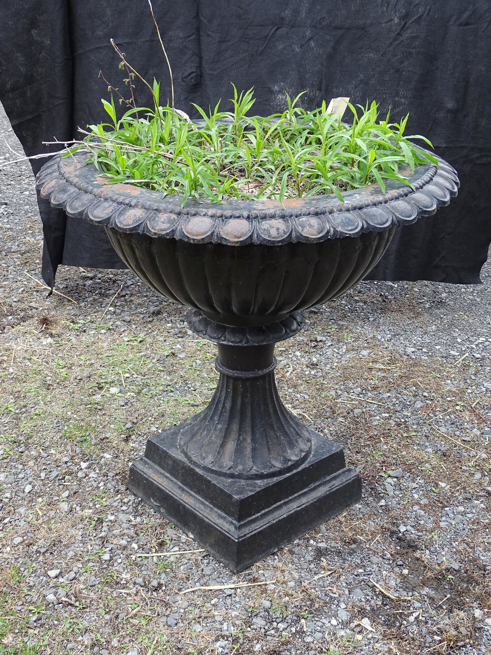 Cast Iron Urn: Cast iron urn. 37" Dia. x 36" Ht..