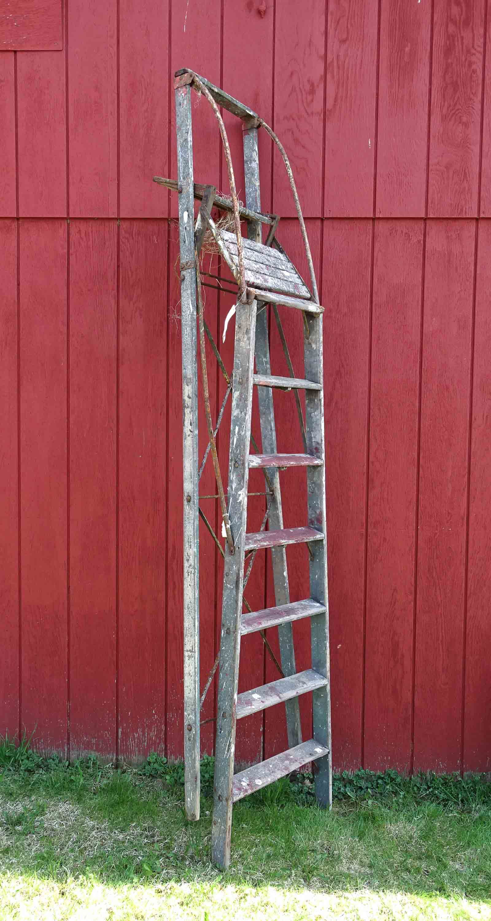 Orchard Step Ladder (1 of 2)