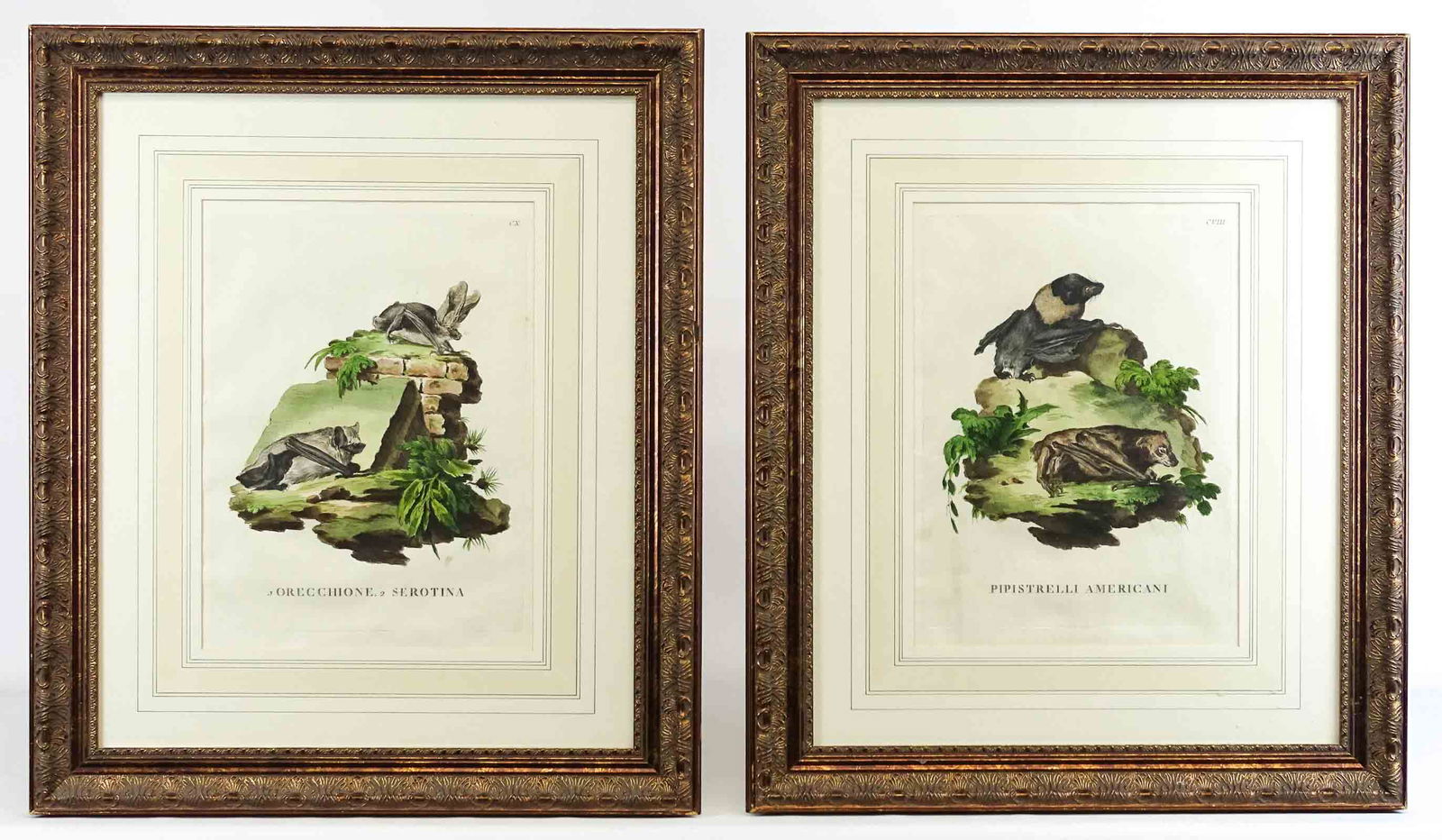 Pair 19th c. Framed Prints (1 of 6)