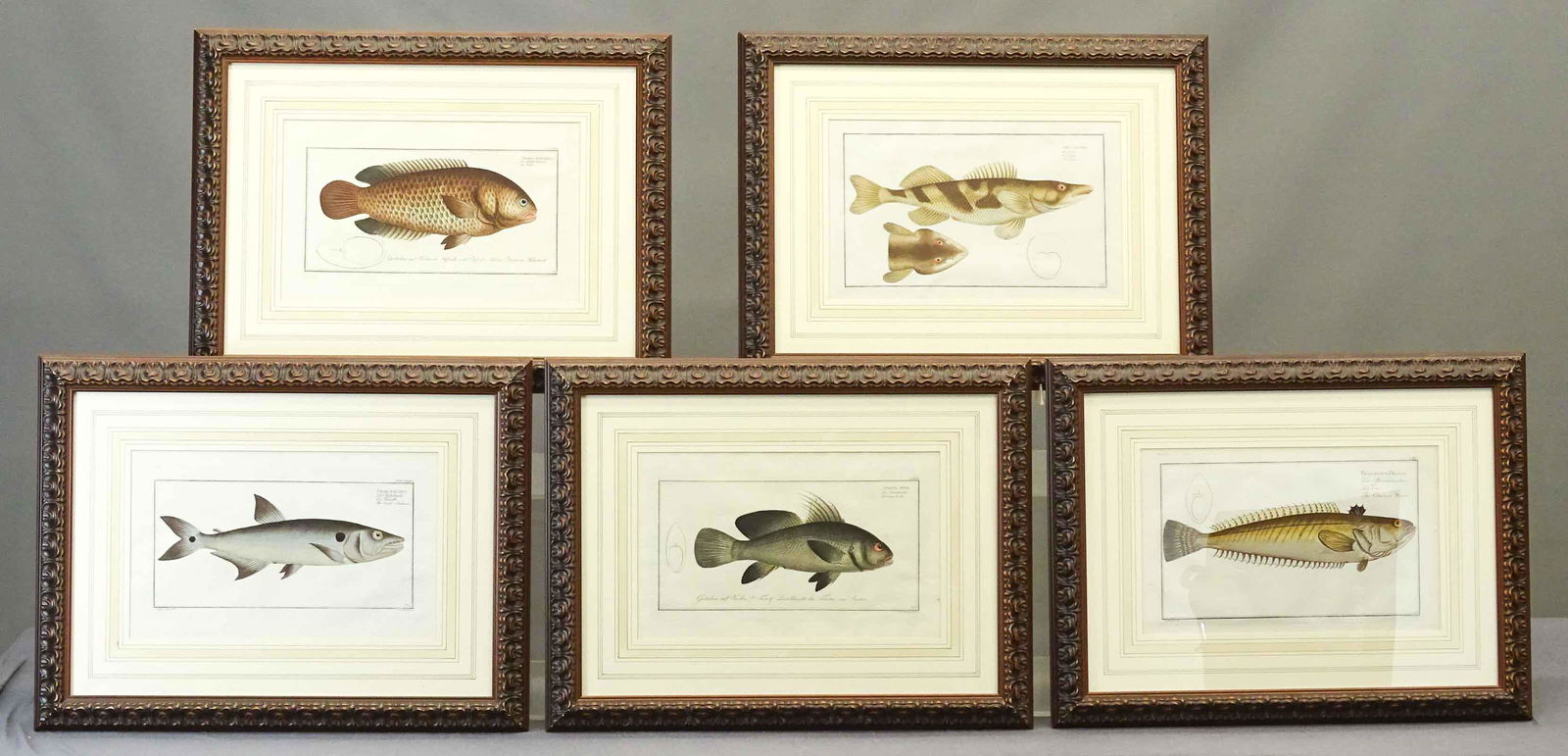 Early Framed Fish Prints (1 of 13)