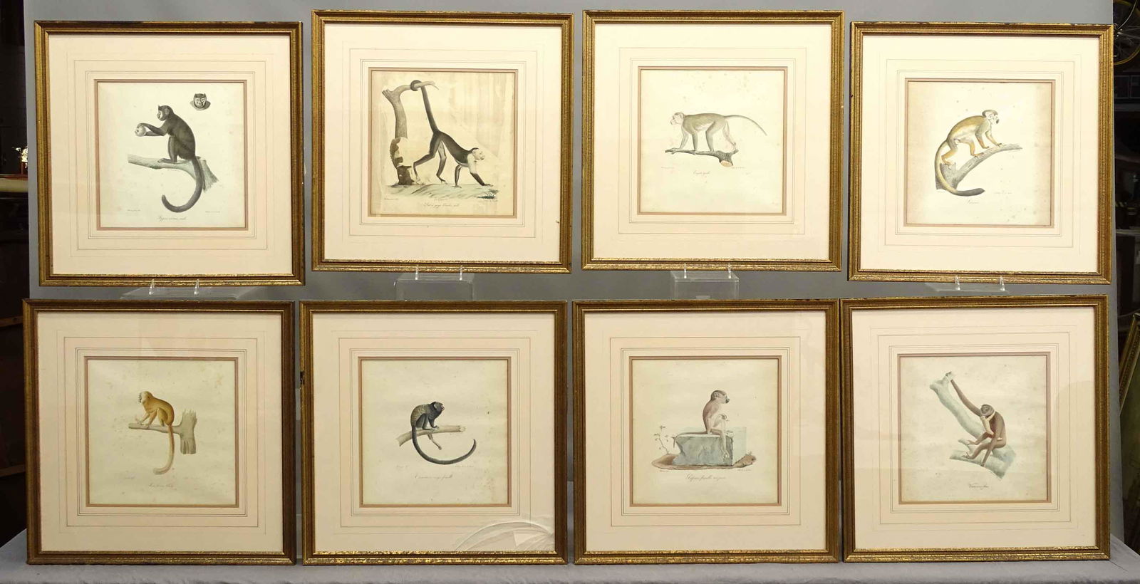 Set of (6) Early Framed Monkey Prints (1 of 10)