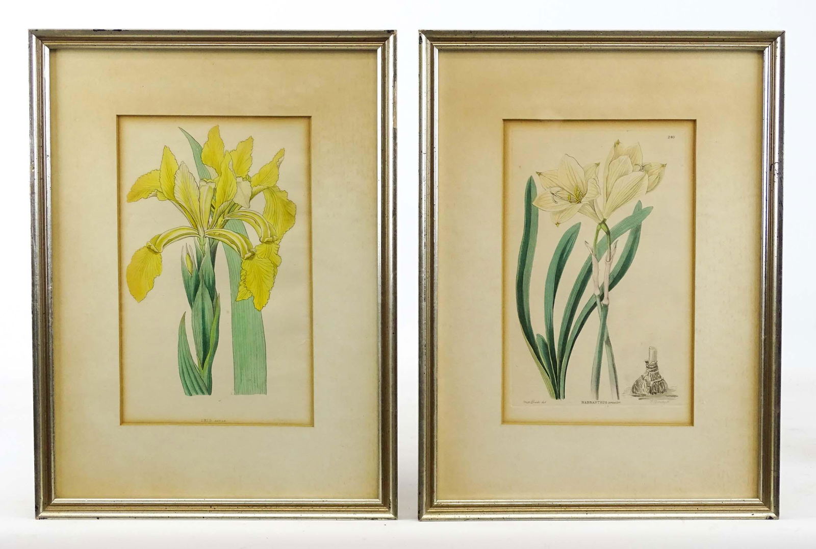 Pair Floral Prints (1 of 8)