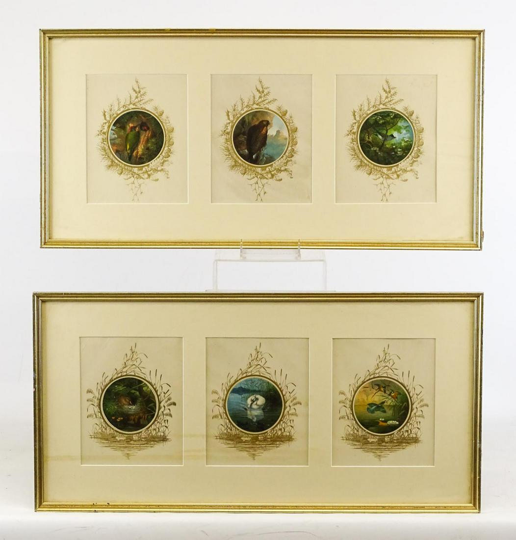 Framed Bird Prints (1 of 3)