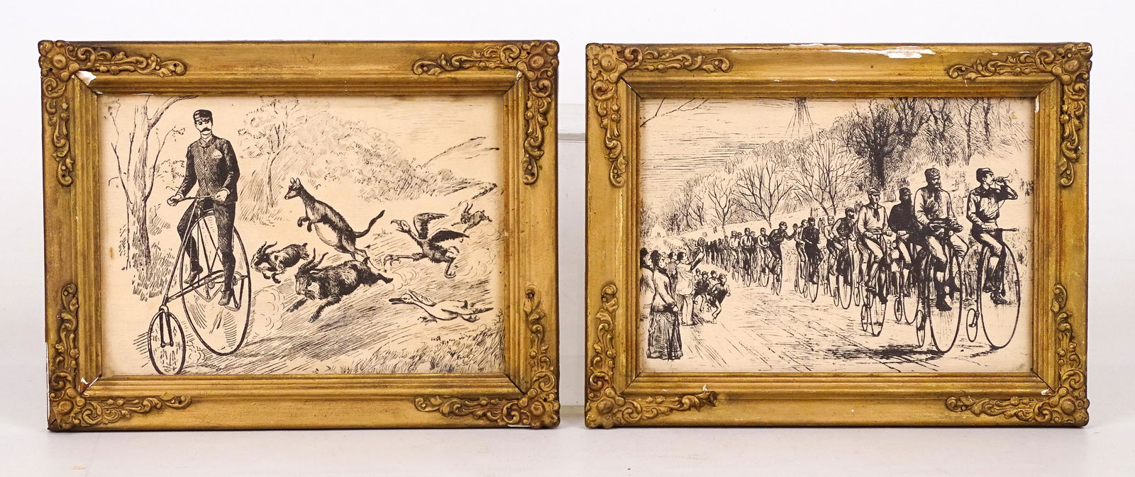 Bicycle Prints (1 of 6)