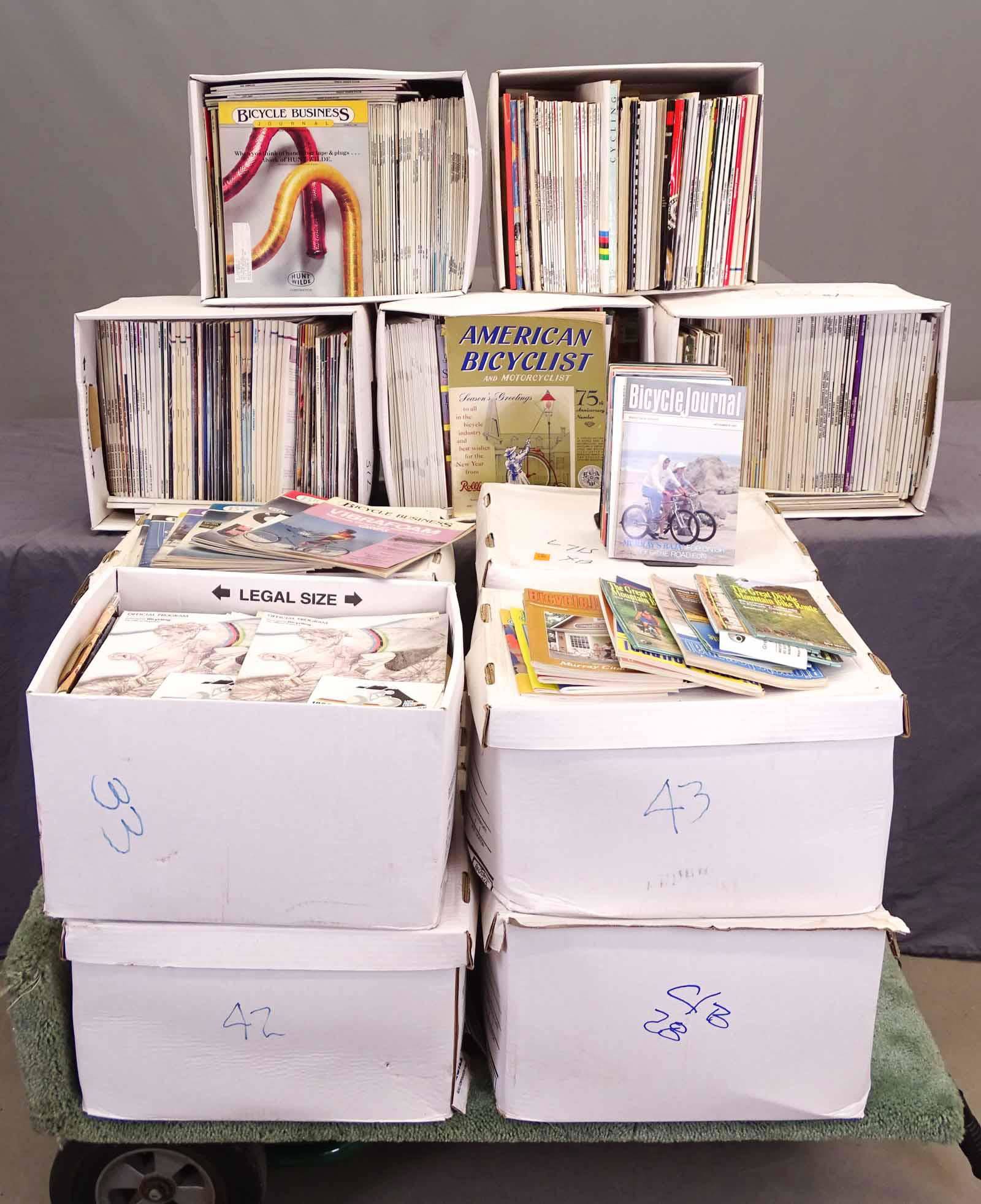 Bicycle Institute of America Archives (1 of 8)