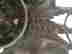 item-107788802=4