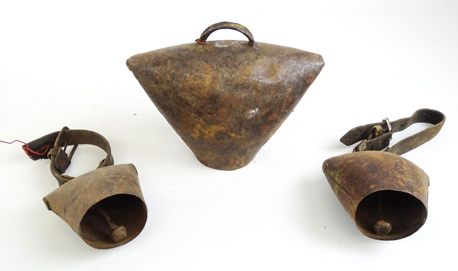 Cow Bells (1 of 3)