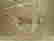 item-107789231=4