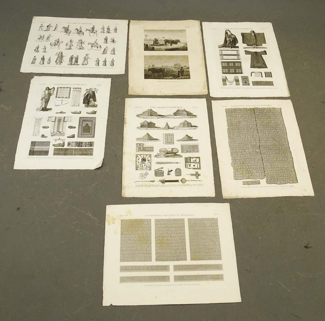 Napoleon Egypt Expedition Artifacts Prints (7) (1 of 8)