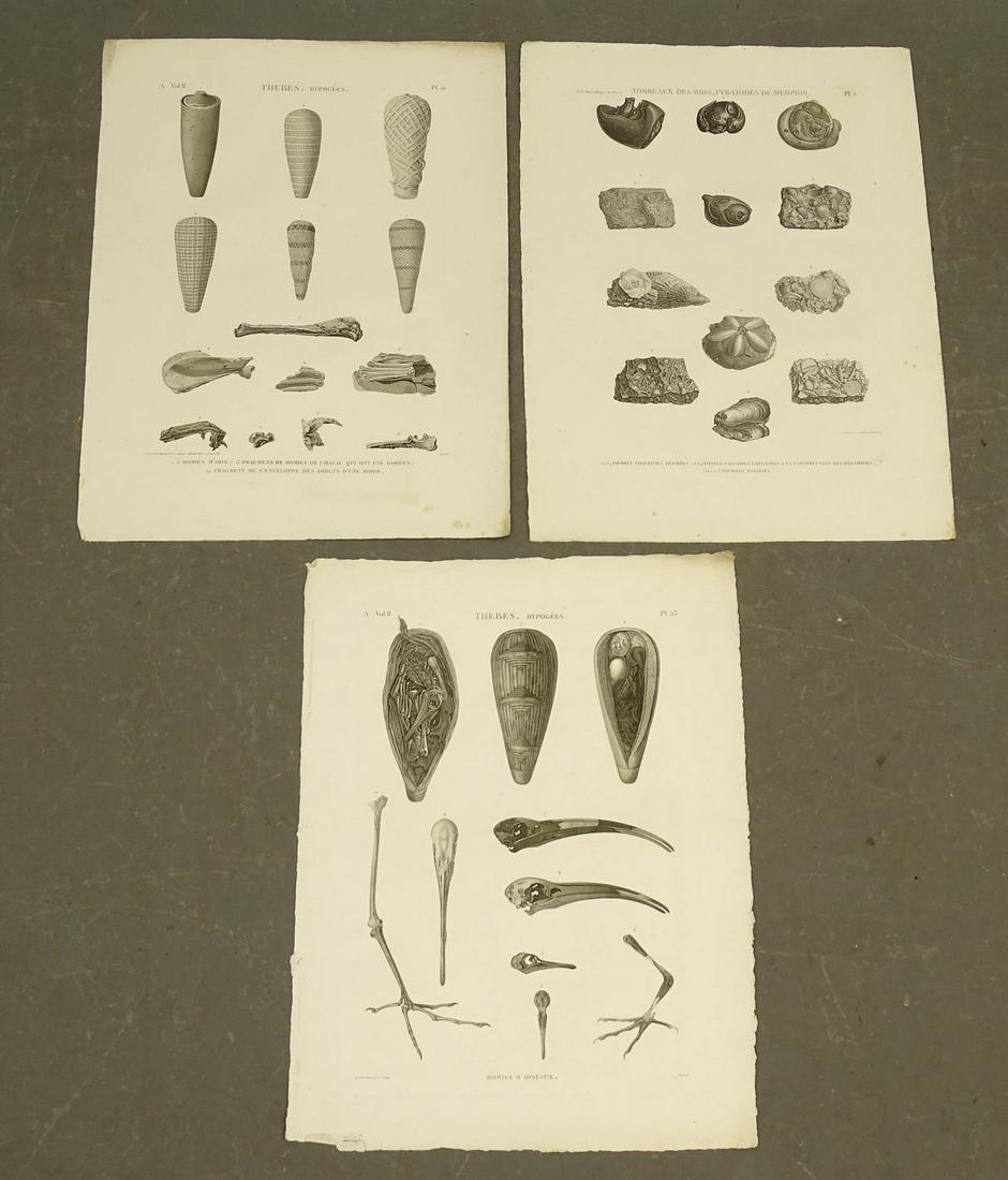 Napoleon Egypt Expedition Artifacts Prints (3) (1 of 2)