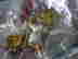 item-107789383=7