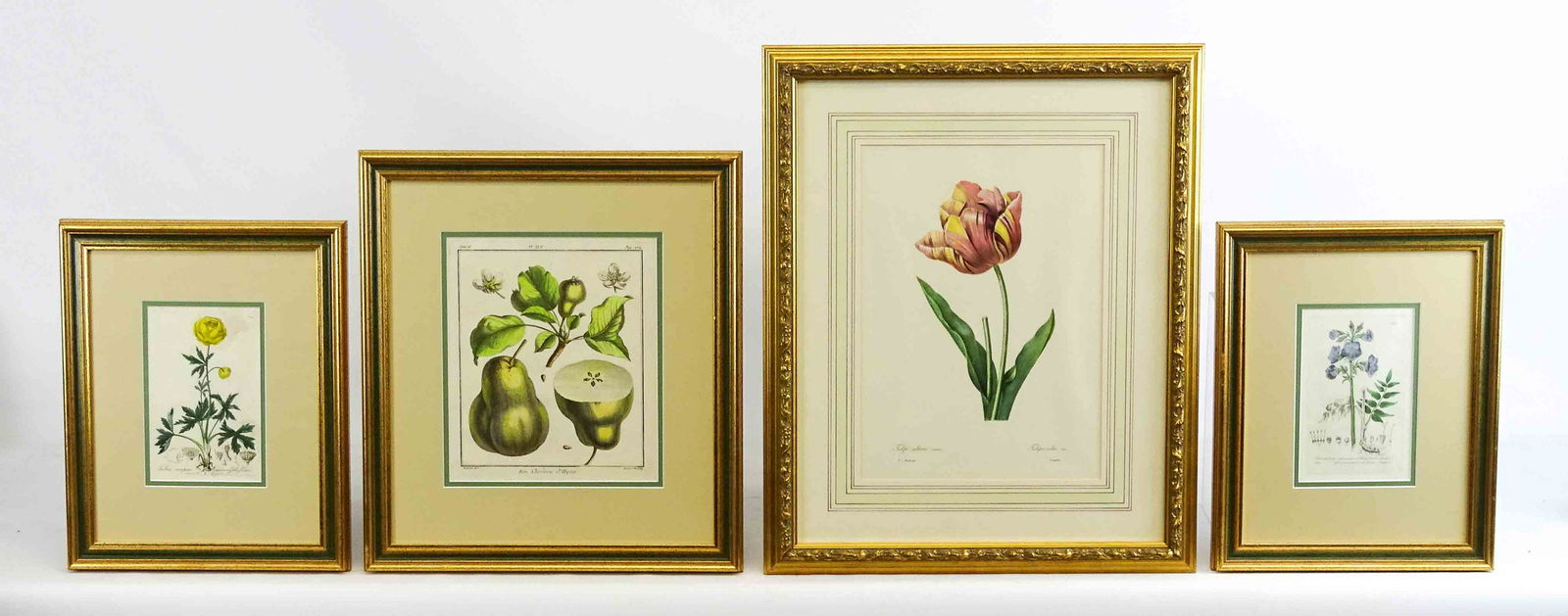 Botanical Prints (1 of 11)