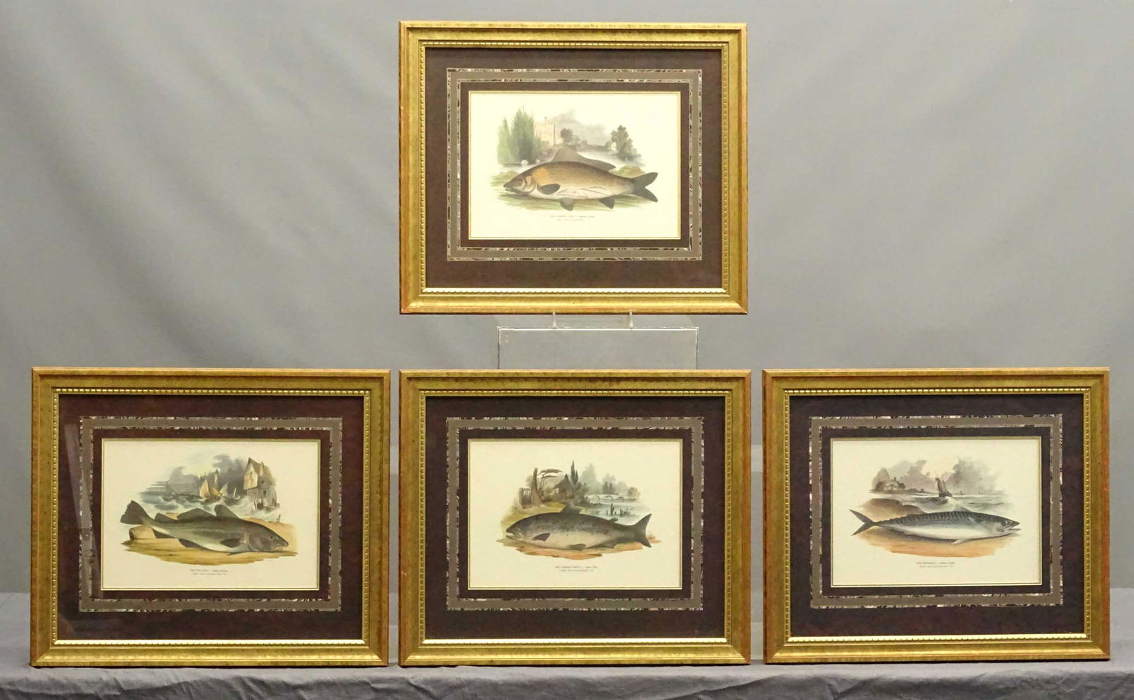 Framed Fish Prints (1 of 10)