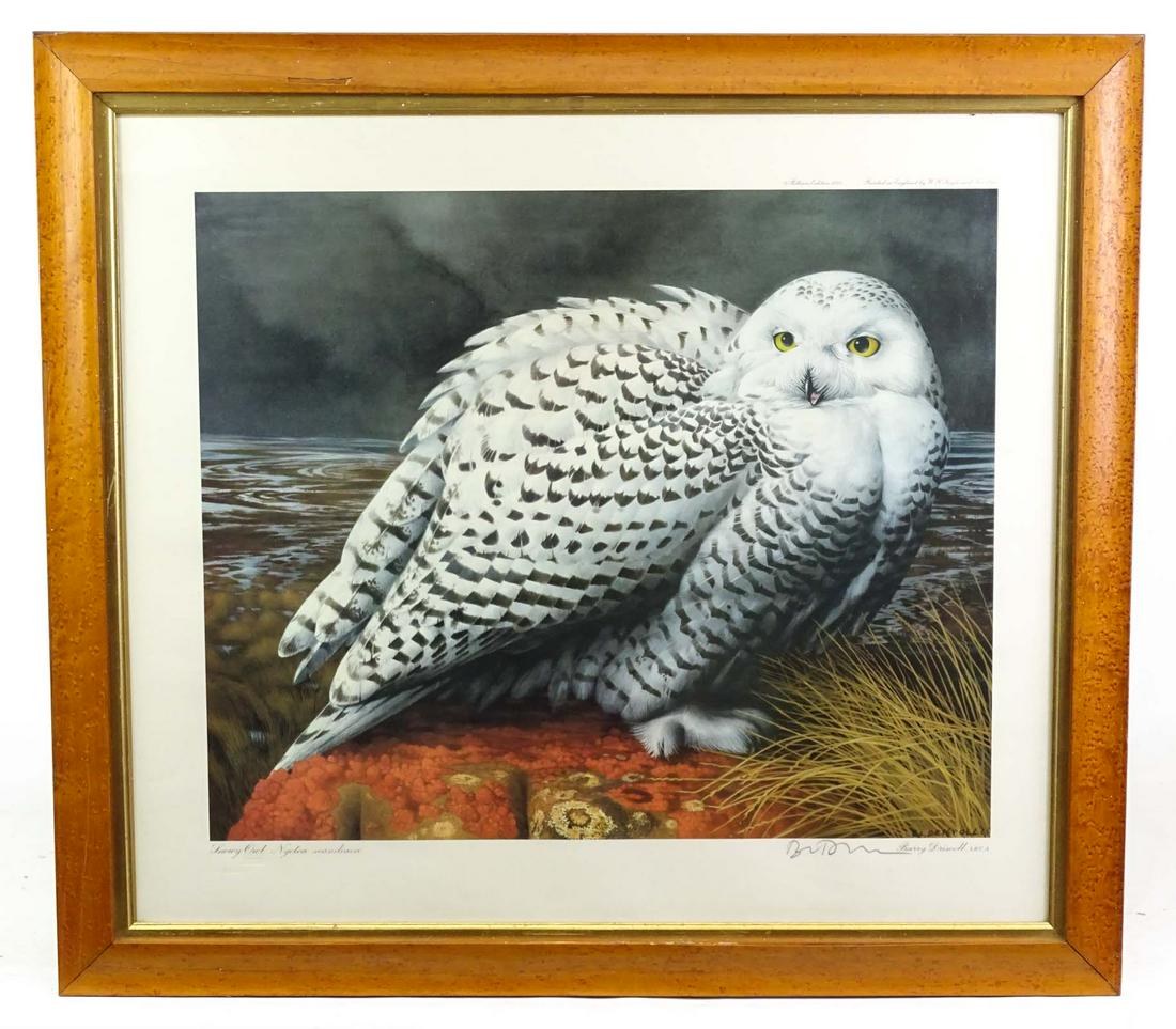 Barry Driscoll (1926-2006) (1 of 4)