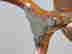 item-117732611=4