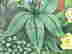 item-121357279=3