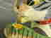 item-121357344=3