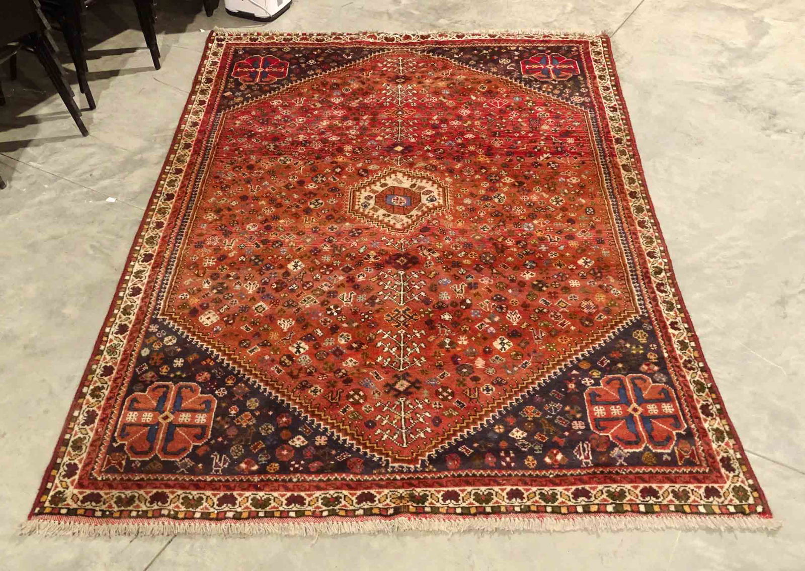 Oriental Rug (1 of 3)