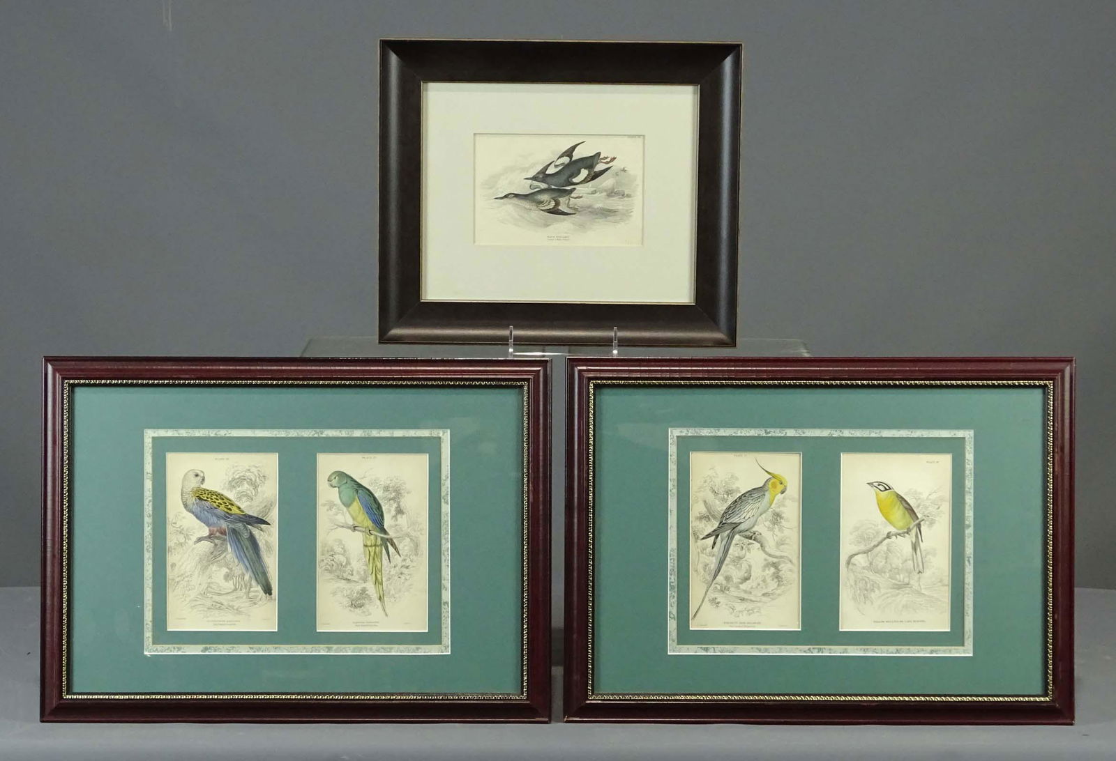 Bird Prints (1 of 9)