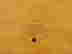 item-126715045=9