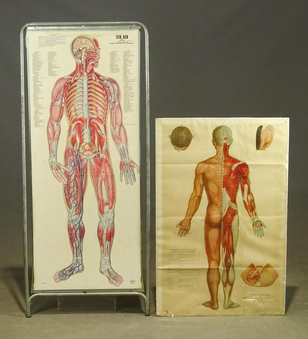 Two Sided  Medical Chart Lot (1 of 11)