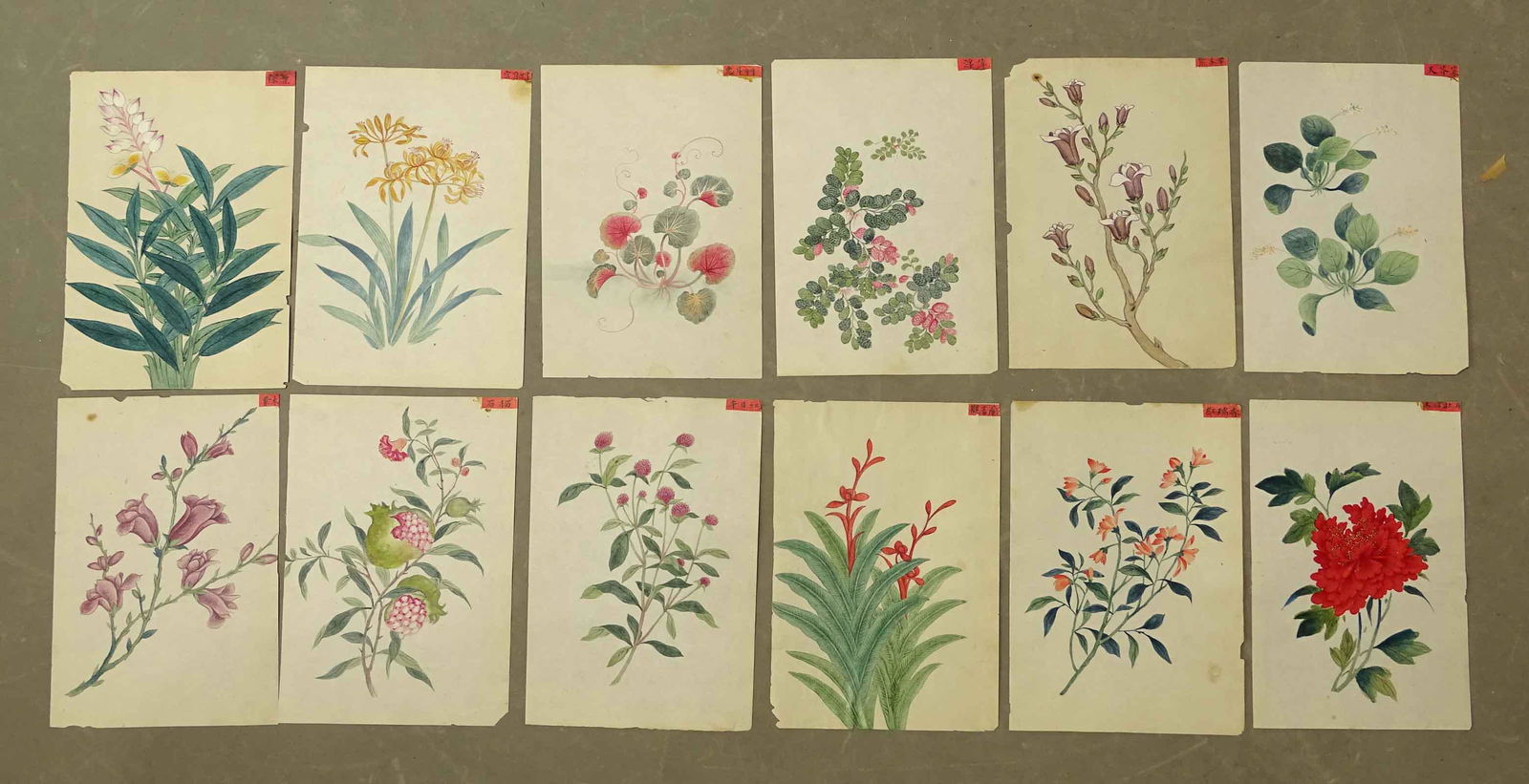 Chinese Botanical Antique Watercolor Set  (12) (1 of 7)