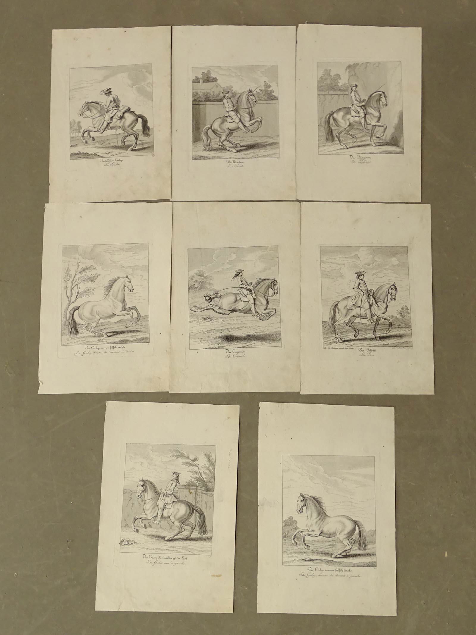 Horse Dressage Antique Prints (8) (1 of 5)
