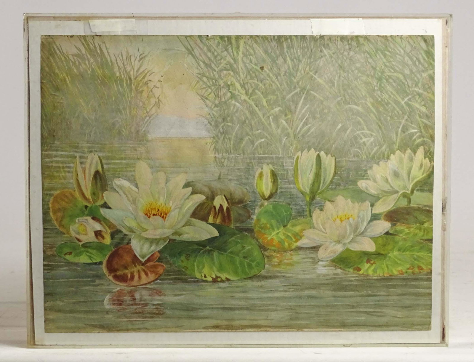 Water Lilly Artwork: Vintage watercolor of blooming water lilies. Early 20th century. 10" x 12 3/4".