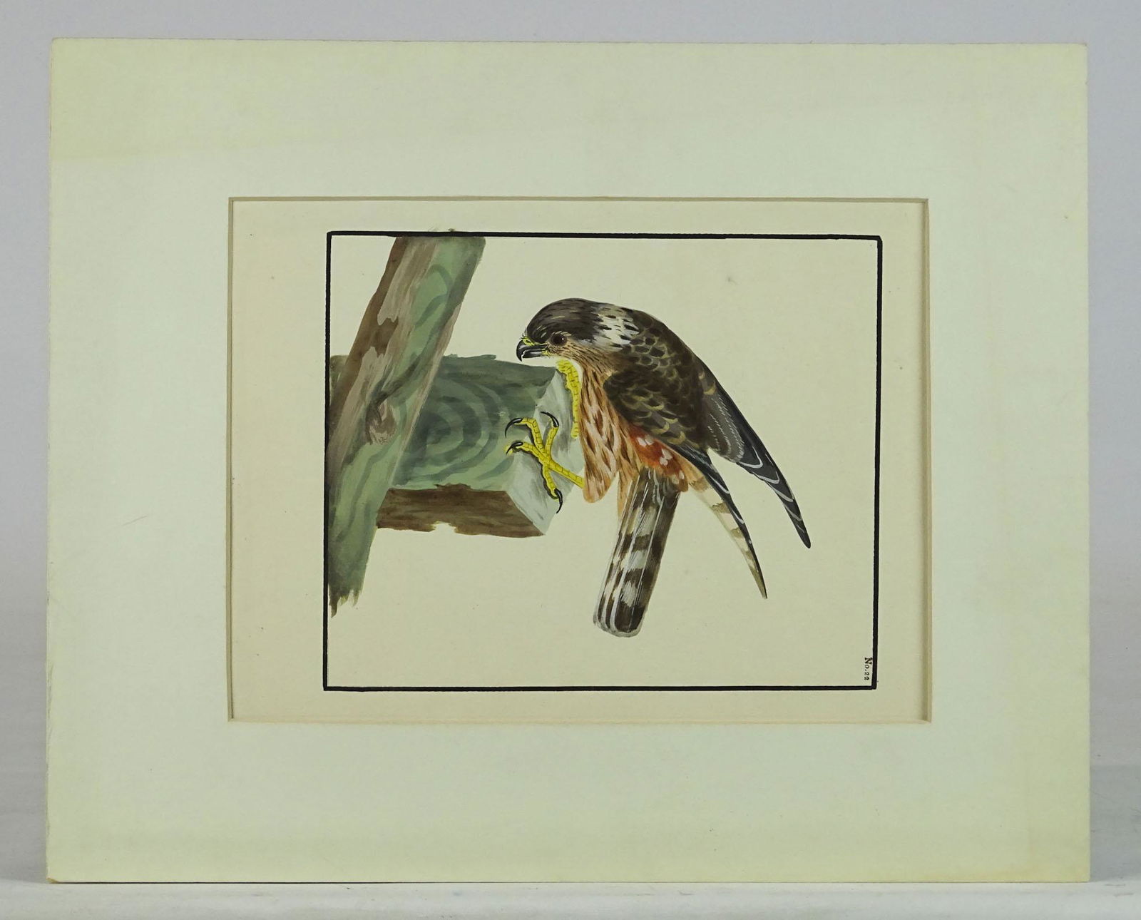 Bird Antique Watercolor (1 of 7)