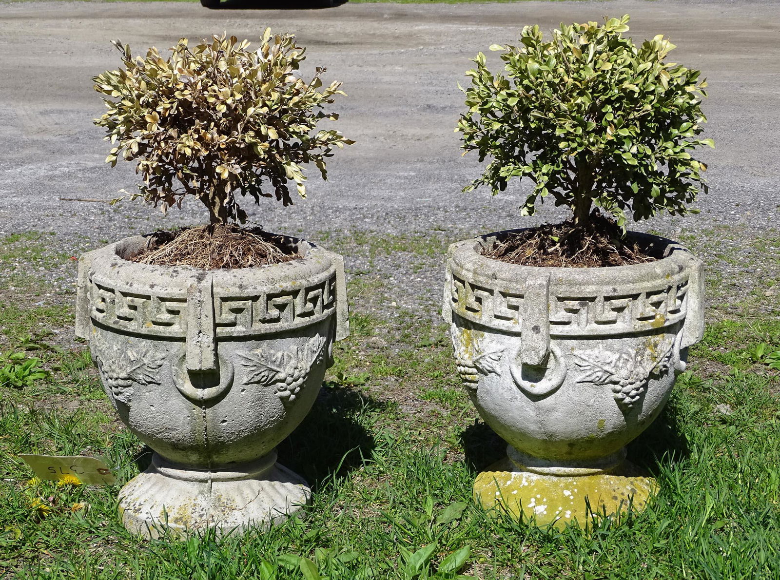 Pair Cast Stone Planters (1 of 2)